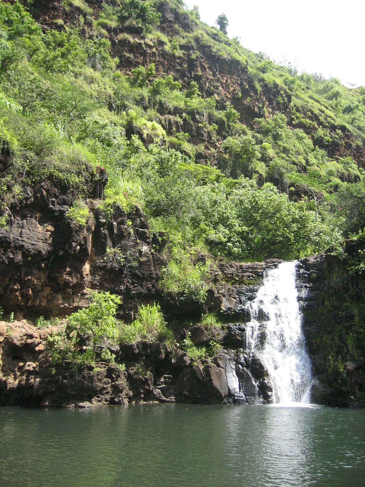 Oahu-Weimea-Falls-Park-5