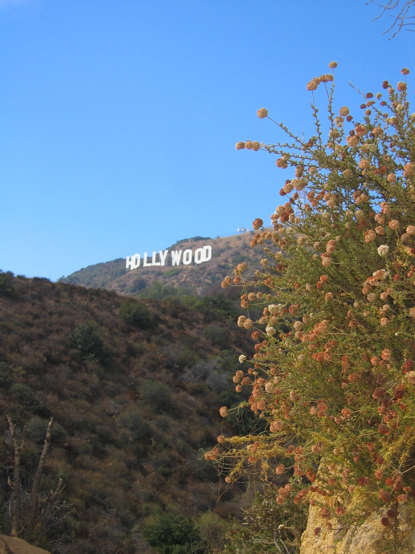L.A.-Hollywood-Hills-1