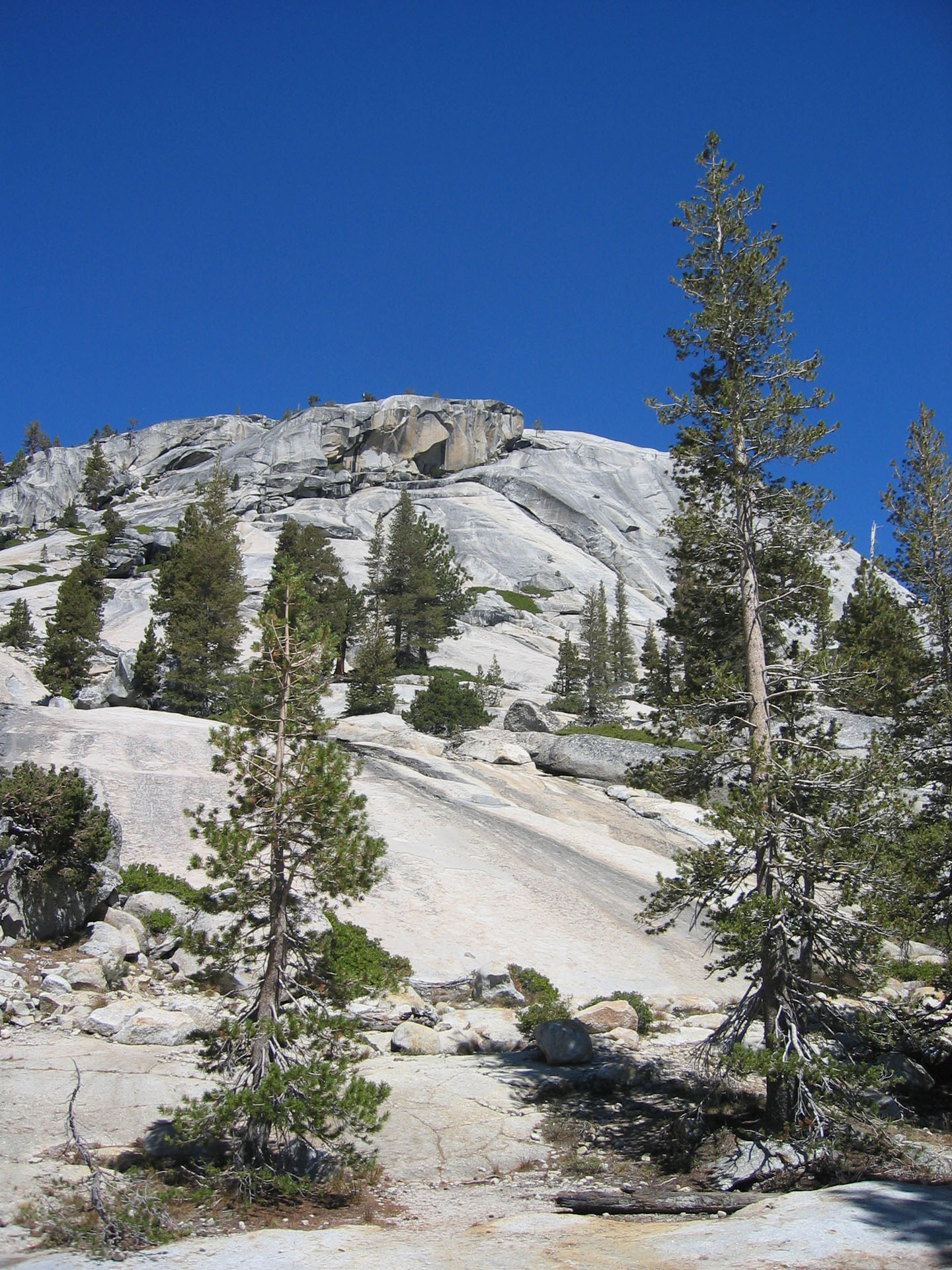 Yosemite-National-Park_10