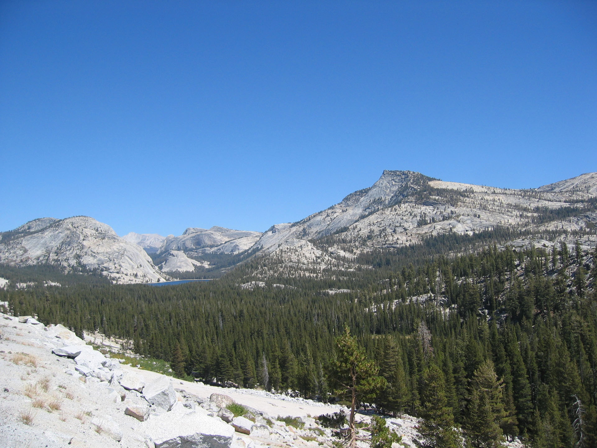 Yosemite-National-Park_14