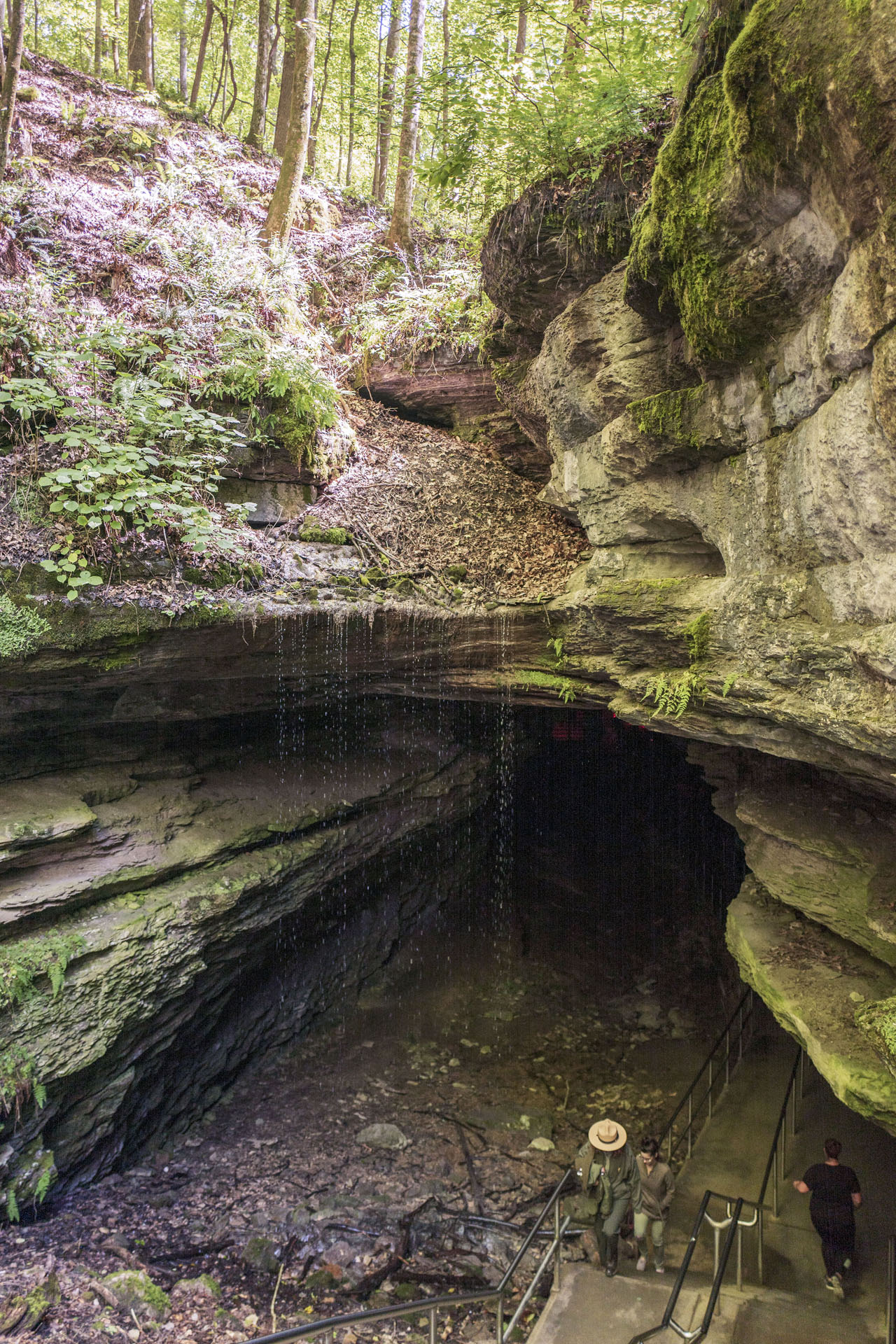 Eingang zur Mammuthöhle