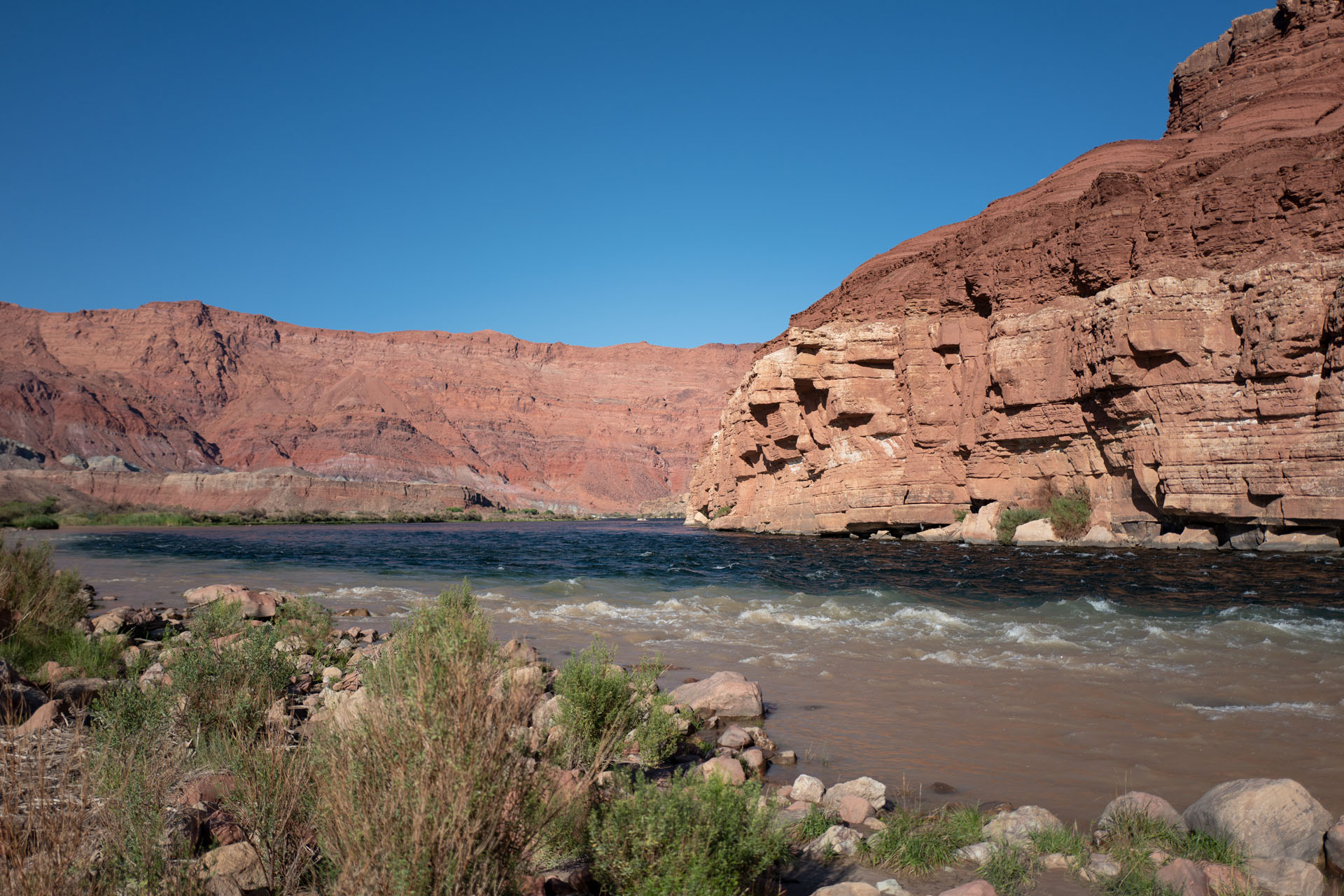 Colorado River bei Lees Ferry (Marble Canyon)