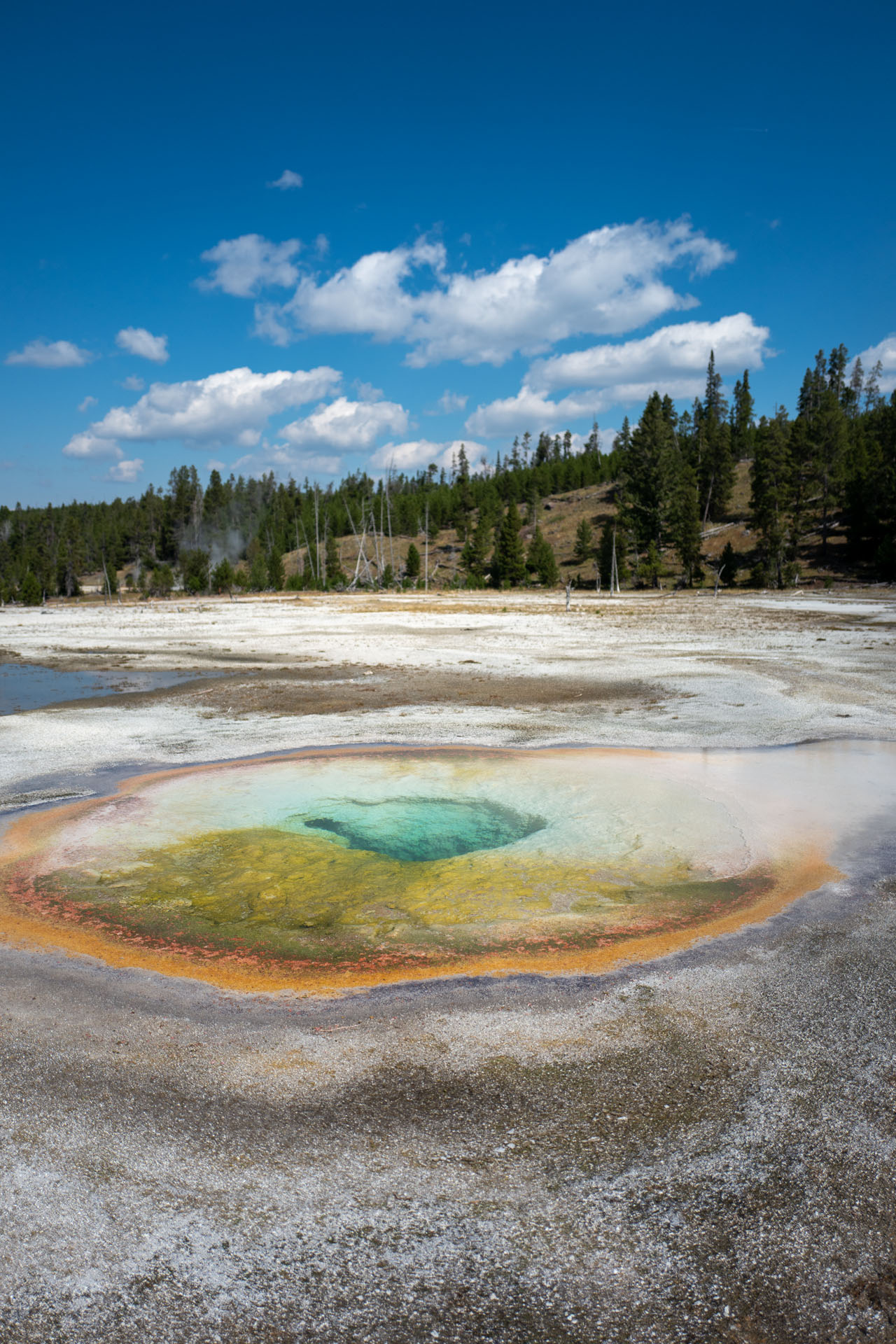 Chromatic Pool Yellowstone National Park
