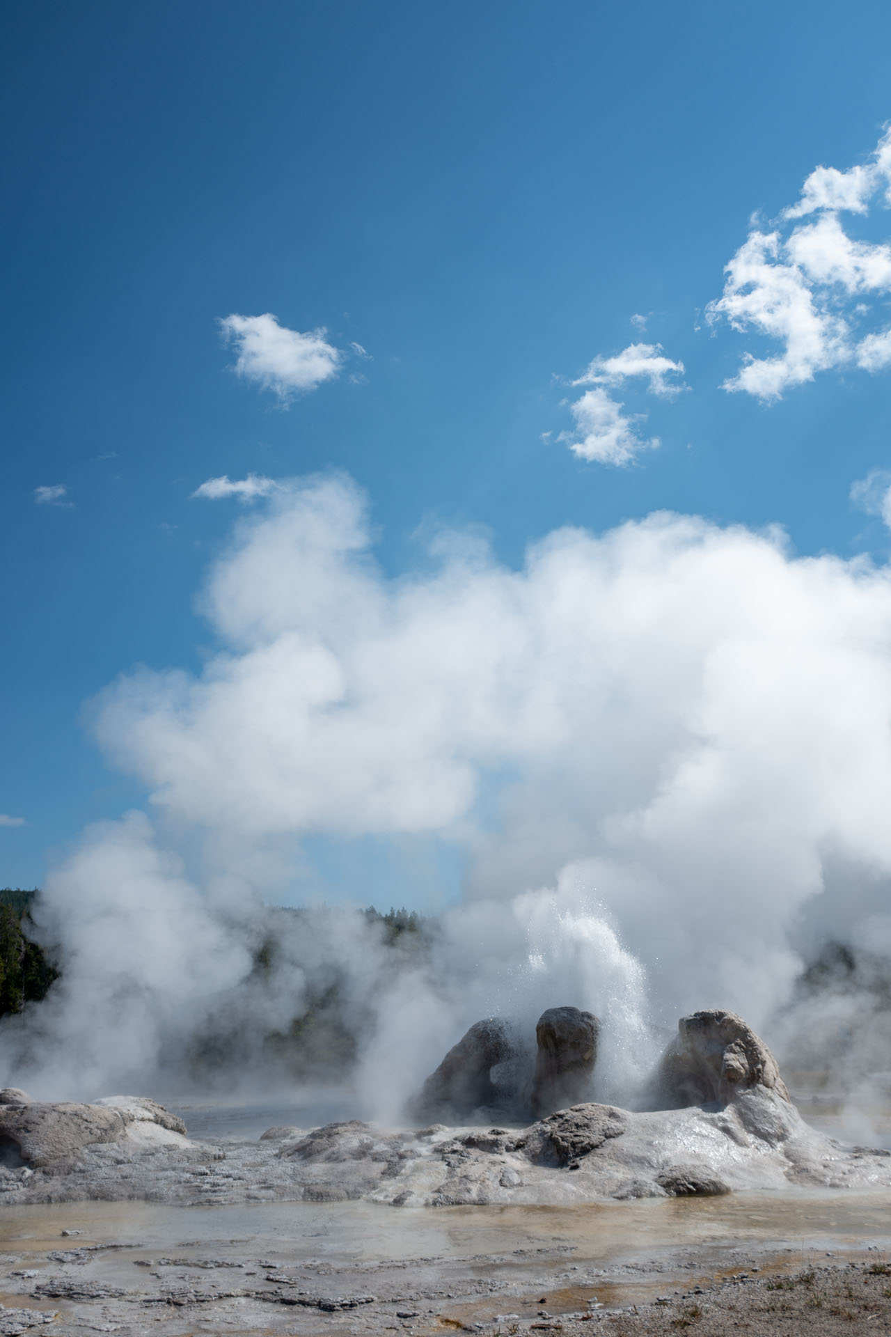 Grotto Geyser in Yellowstone National Park