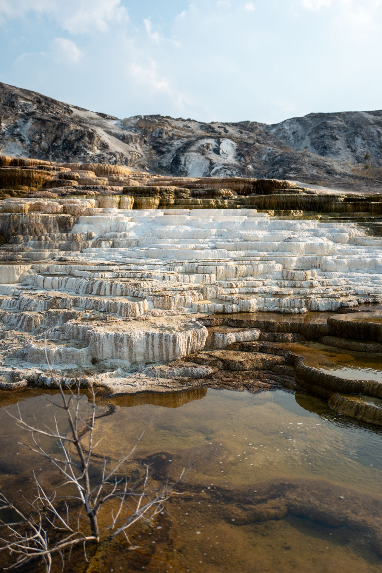 sinter terraces at Mammoth Hot Springs in Yellowstone National Park