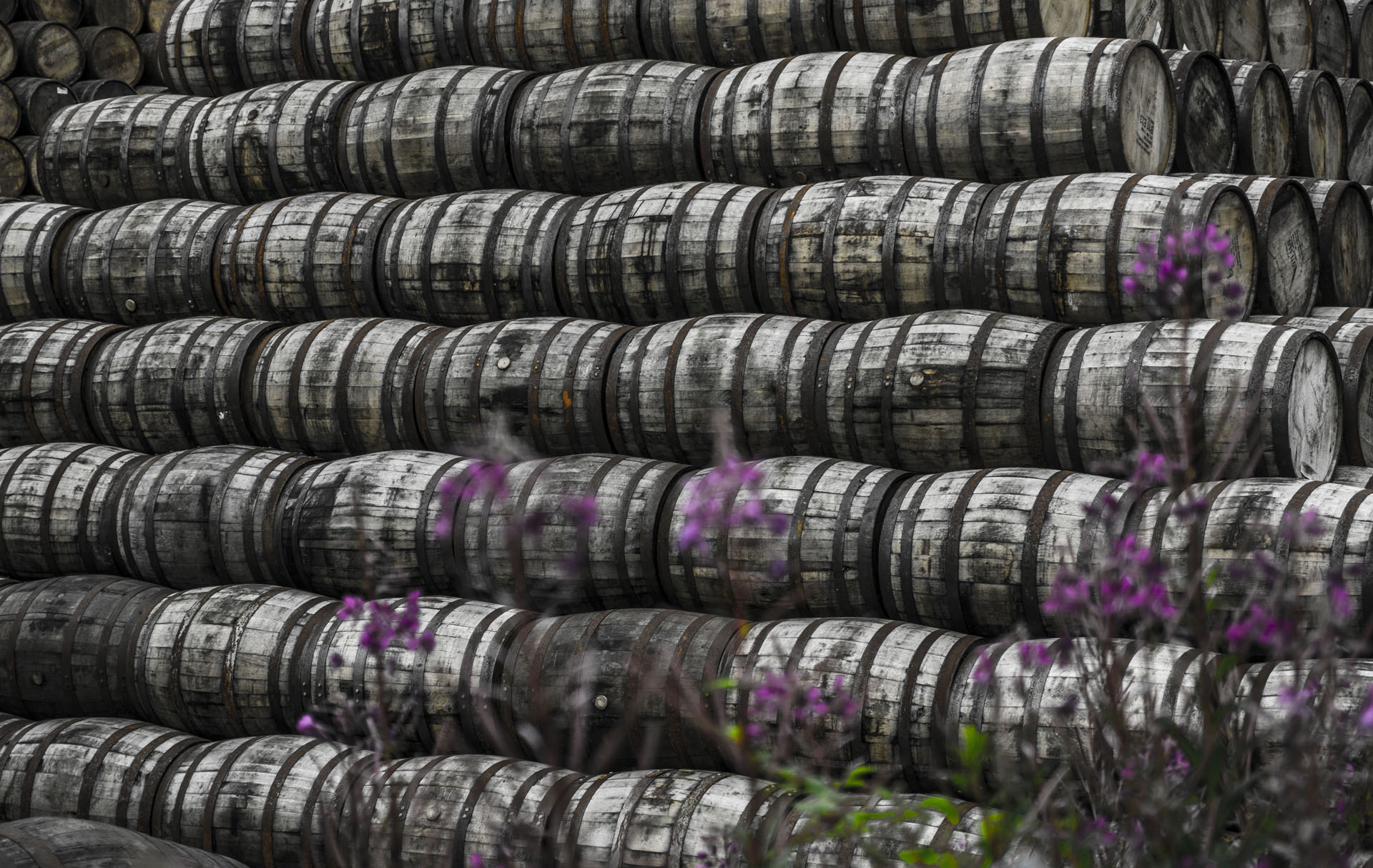 whisky-barrels